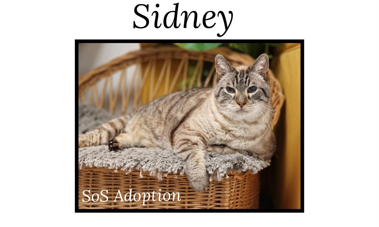 SIDNEY