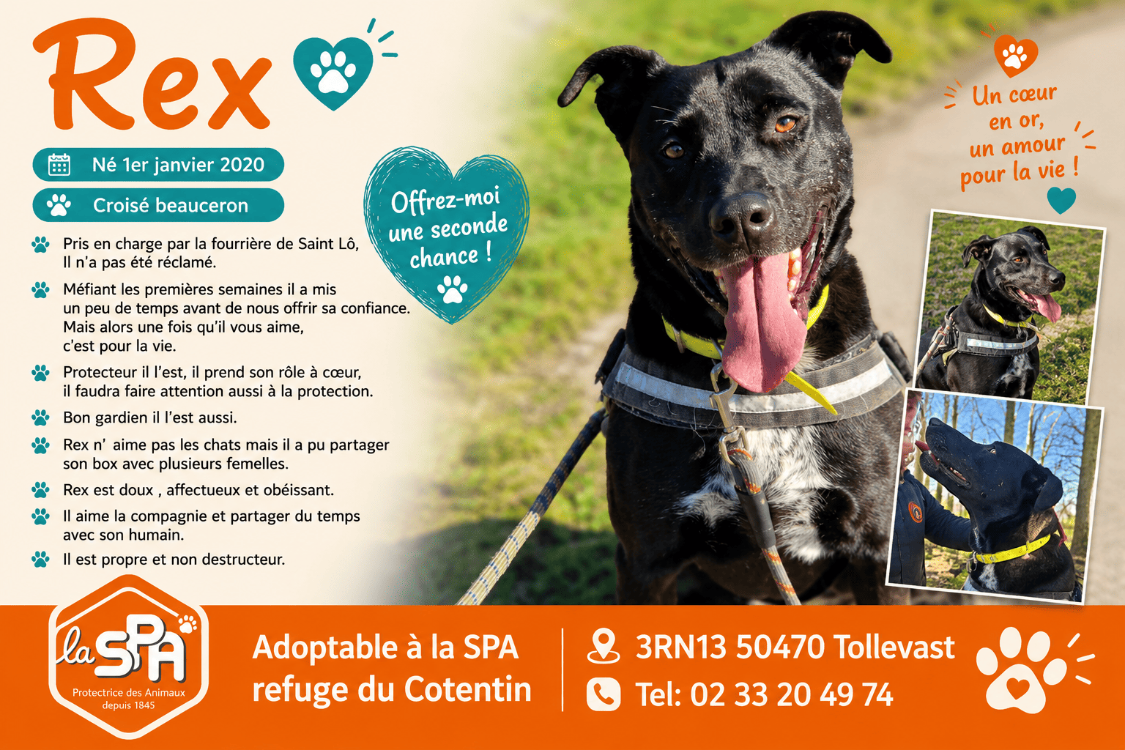 REX