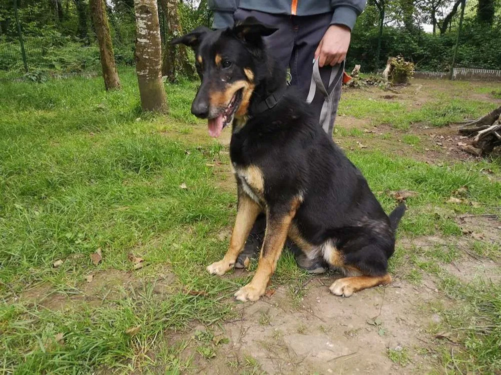 À l'adoption : Outch