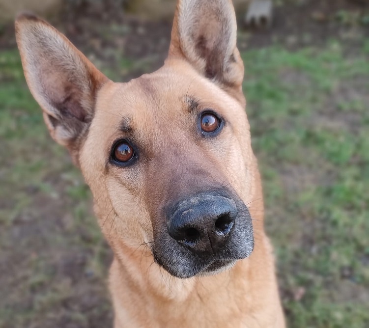 ARKO