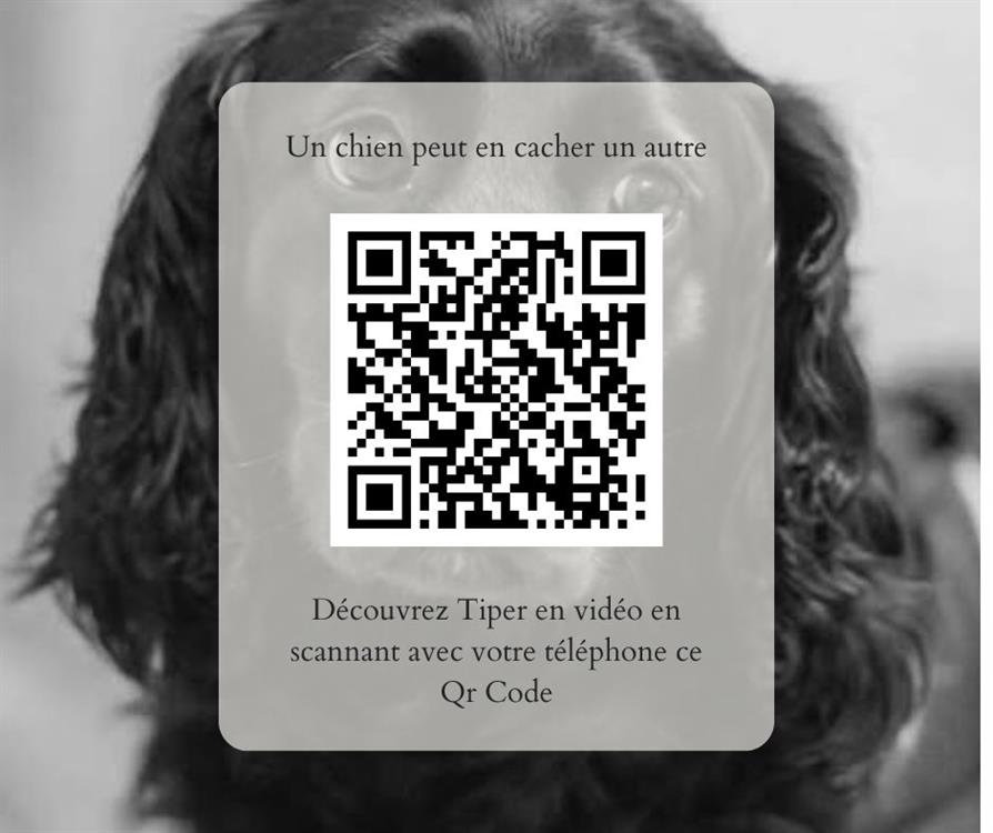 Tiper