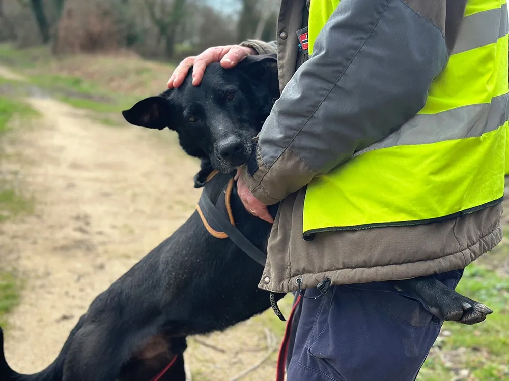 À l'adoption : Valou