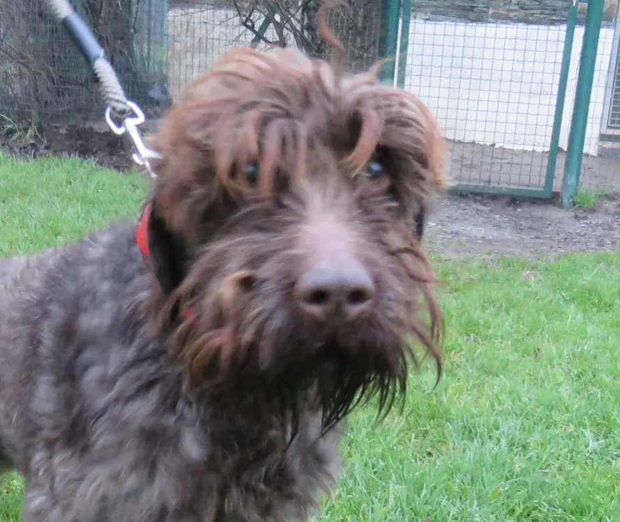 À l'adoption : U'Best