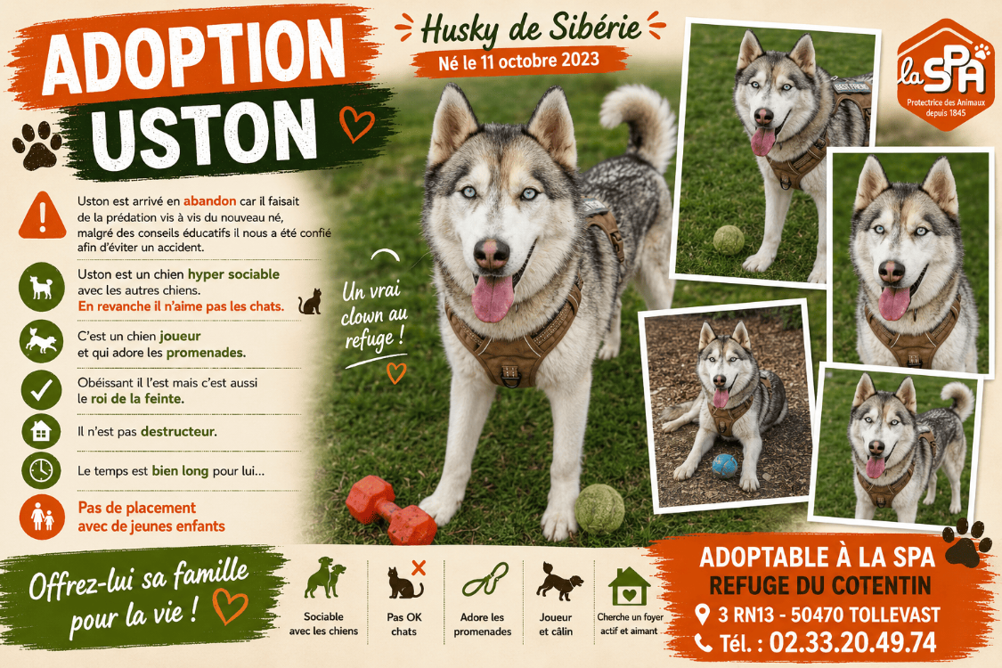 USTON