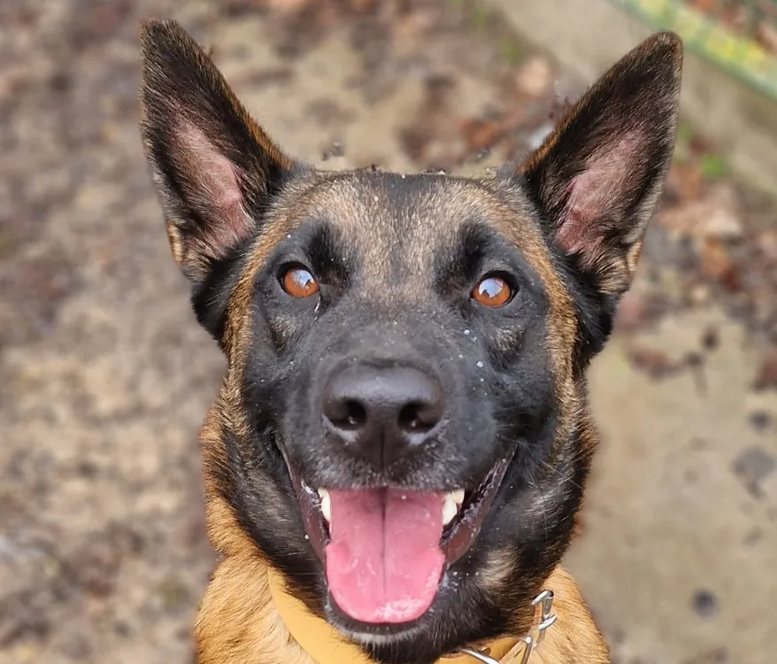 À l'adoption : June 2