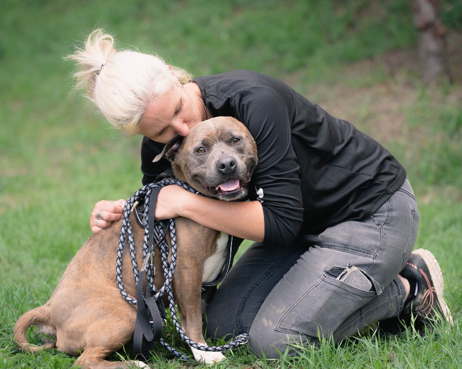 TAYSON