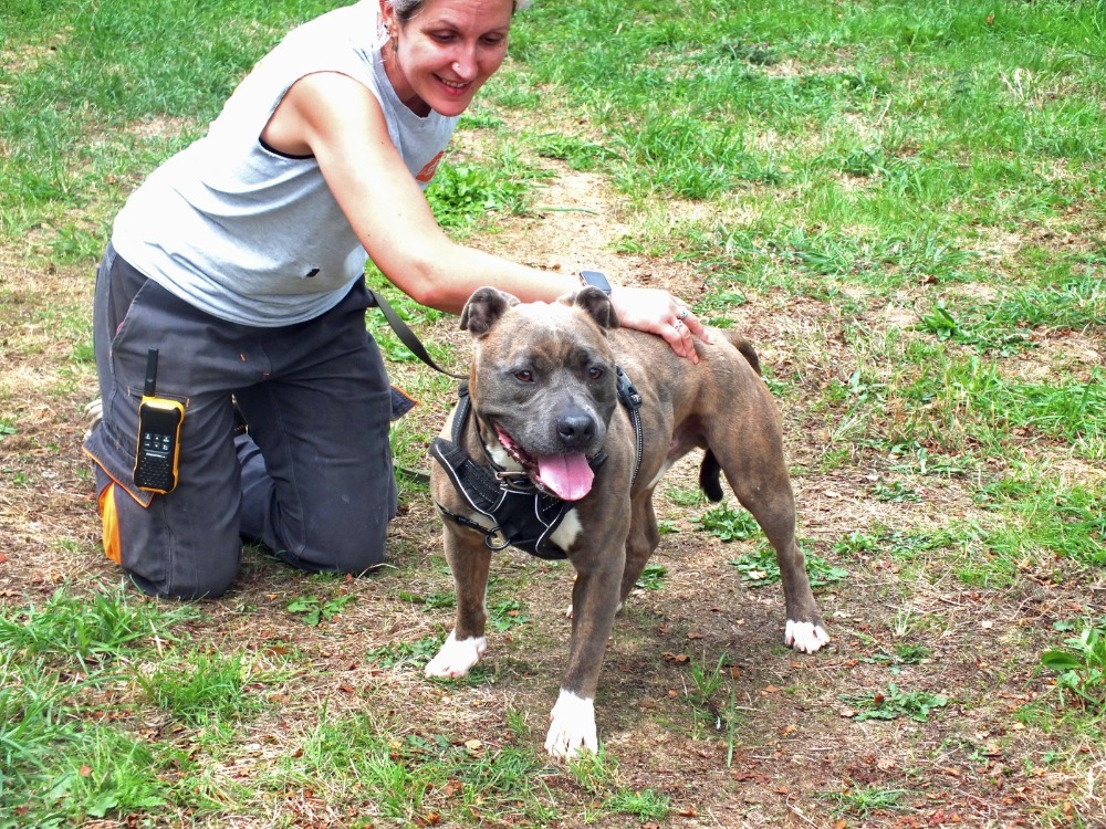 TAYSON
