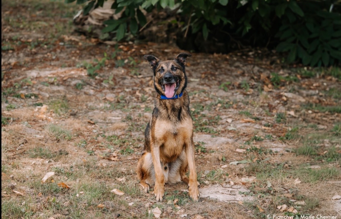 LOKI