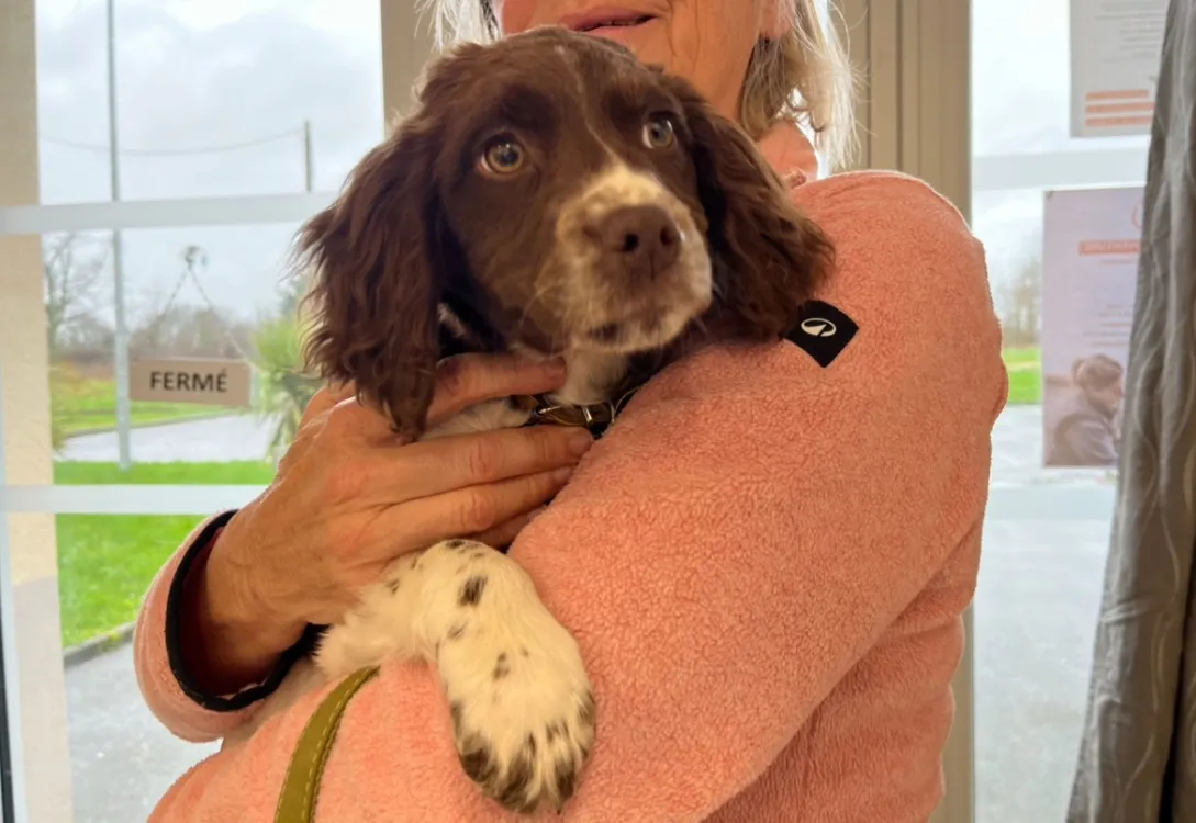 À l'adoption : Madelaine