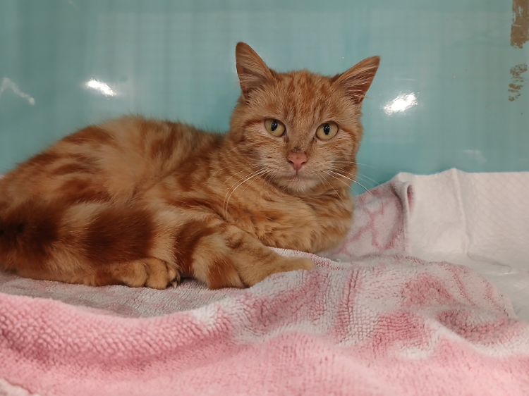 À l'adoption : Jackpot