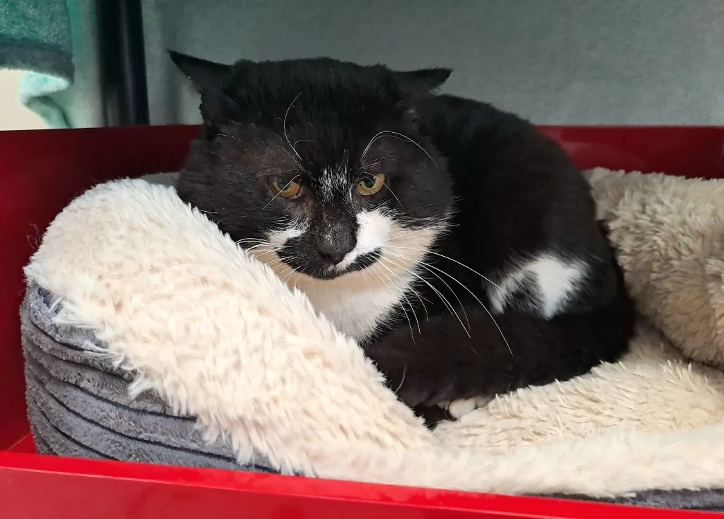 MAZZORBO QCT (j'ai trouvé ma famille)