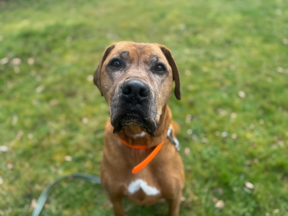 MURPHY (réservé)