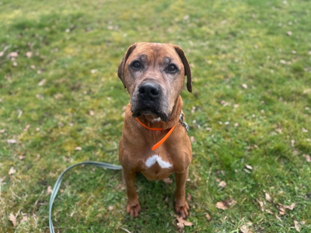 MURPHY (réservé)