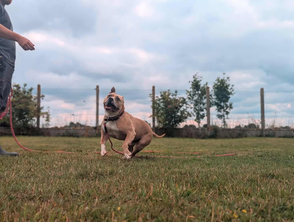 TITI