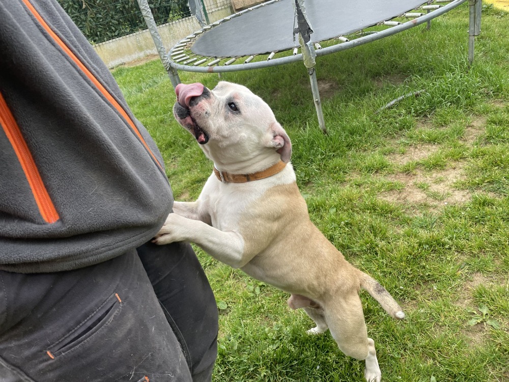 USKO