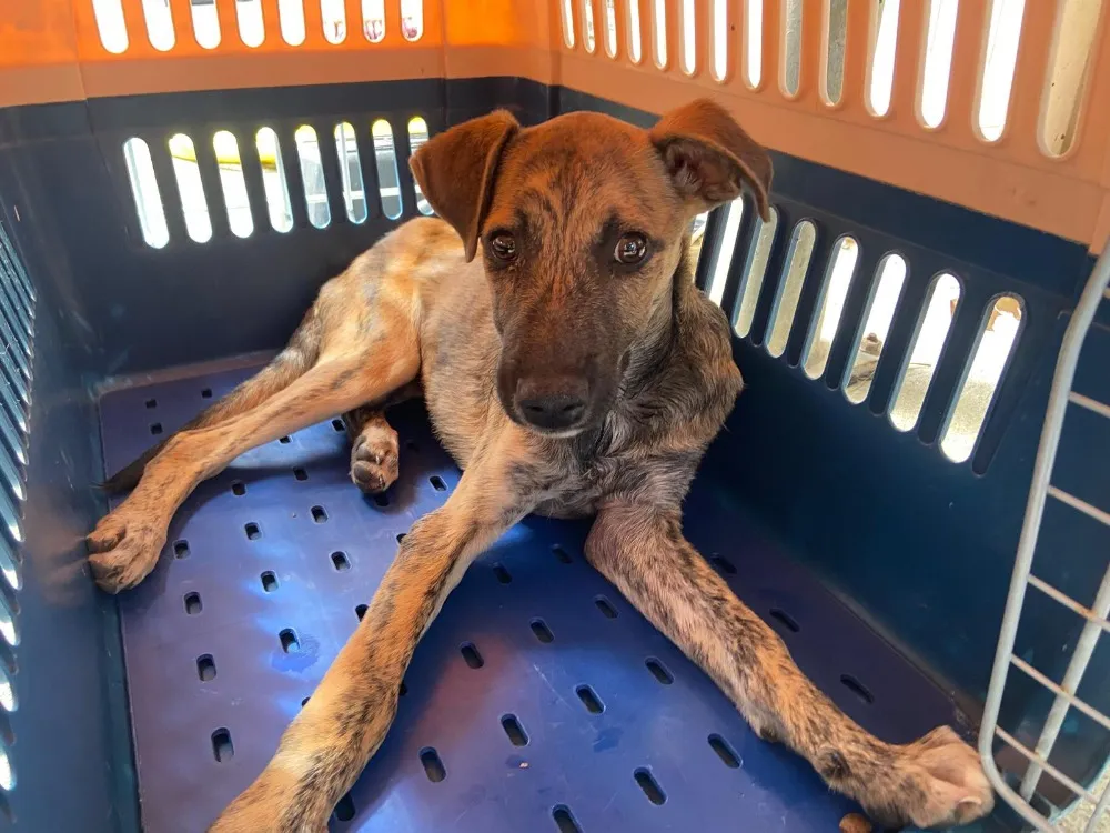 GUMY QCN (j'ai trouvé ma famille)