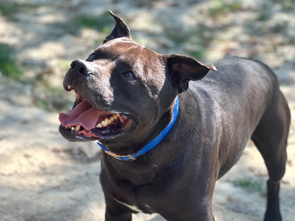 DJANGO