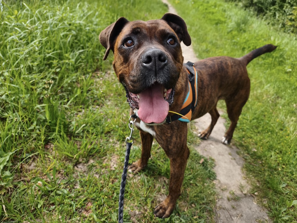 TAKITA