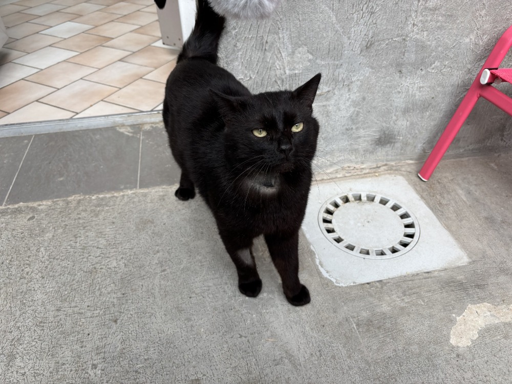 SALEM