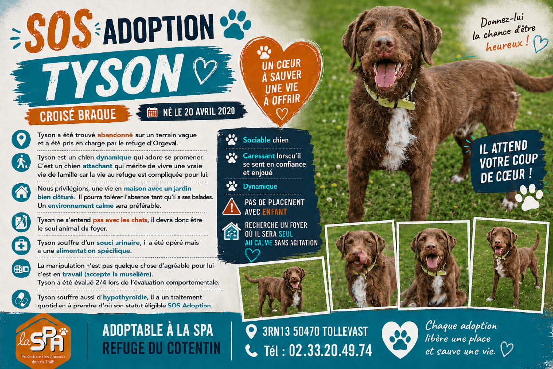 TYSON