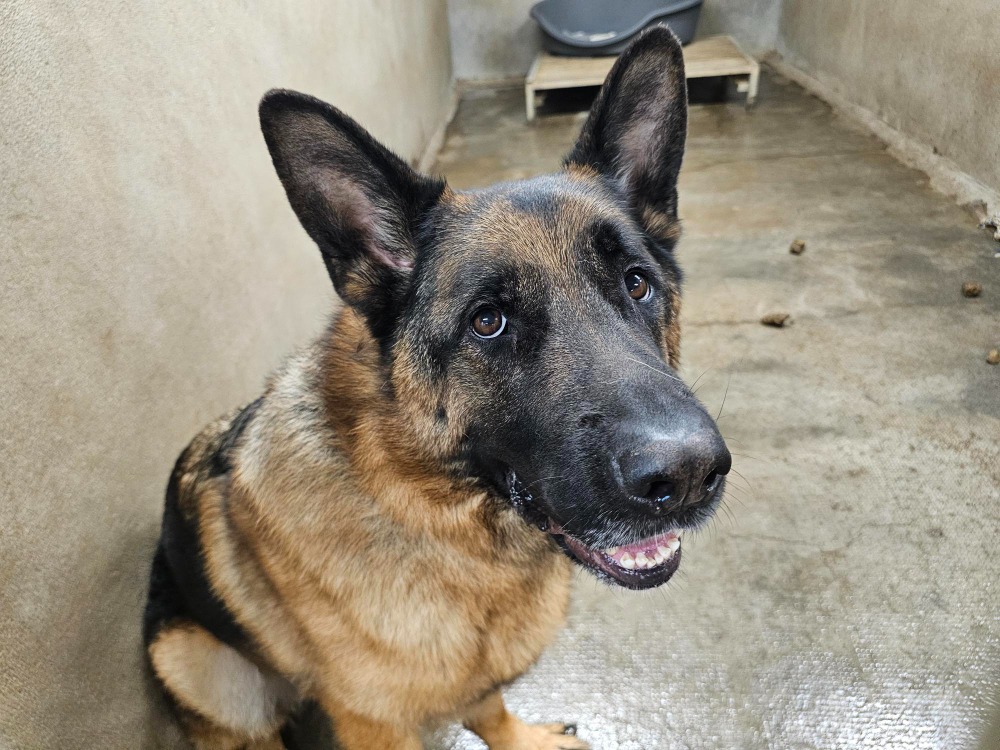 TITO