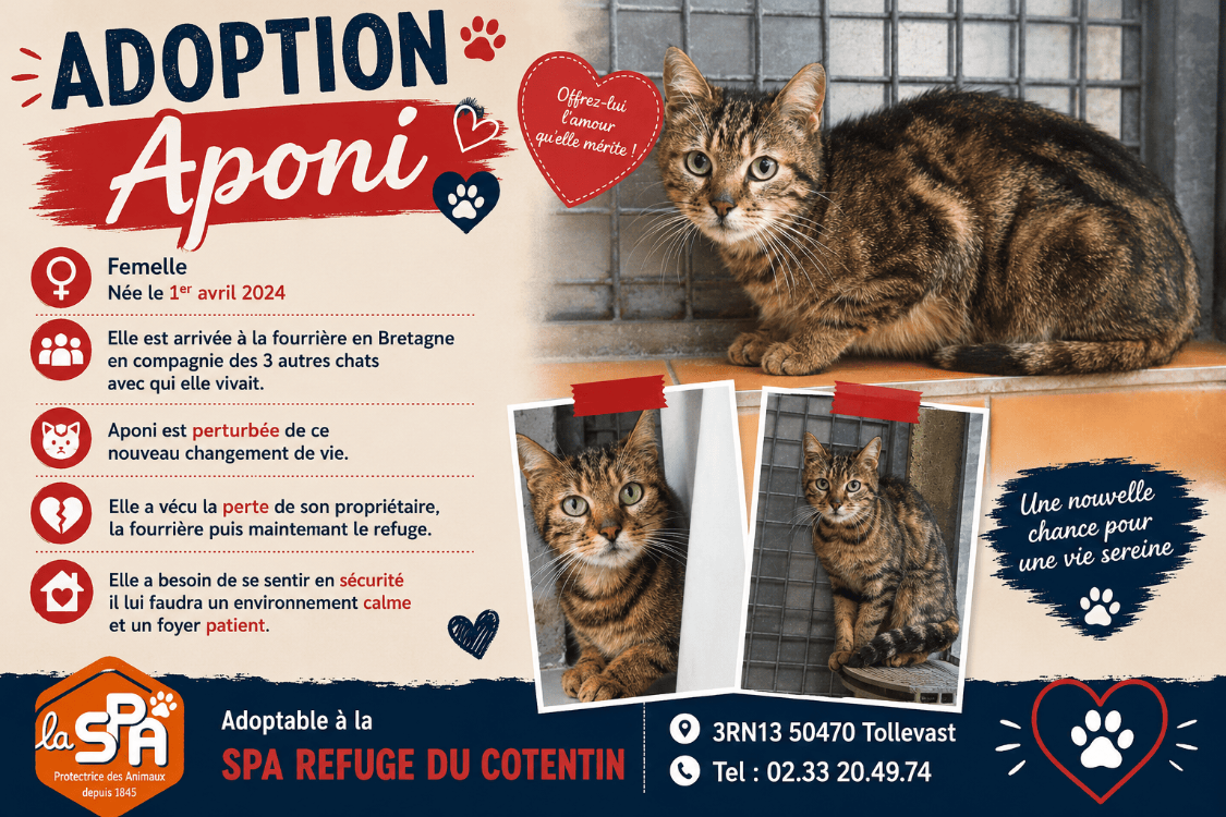 APONI
