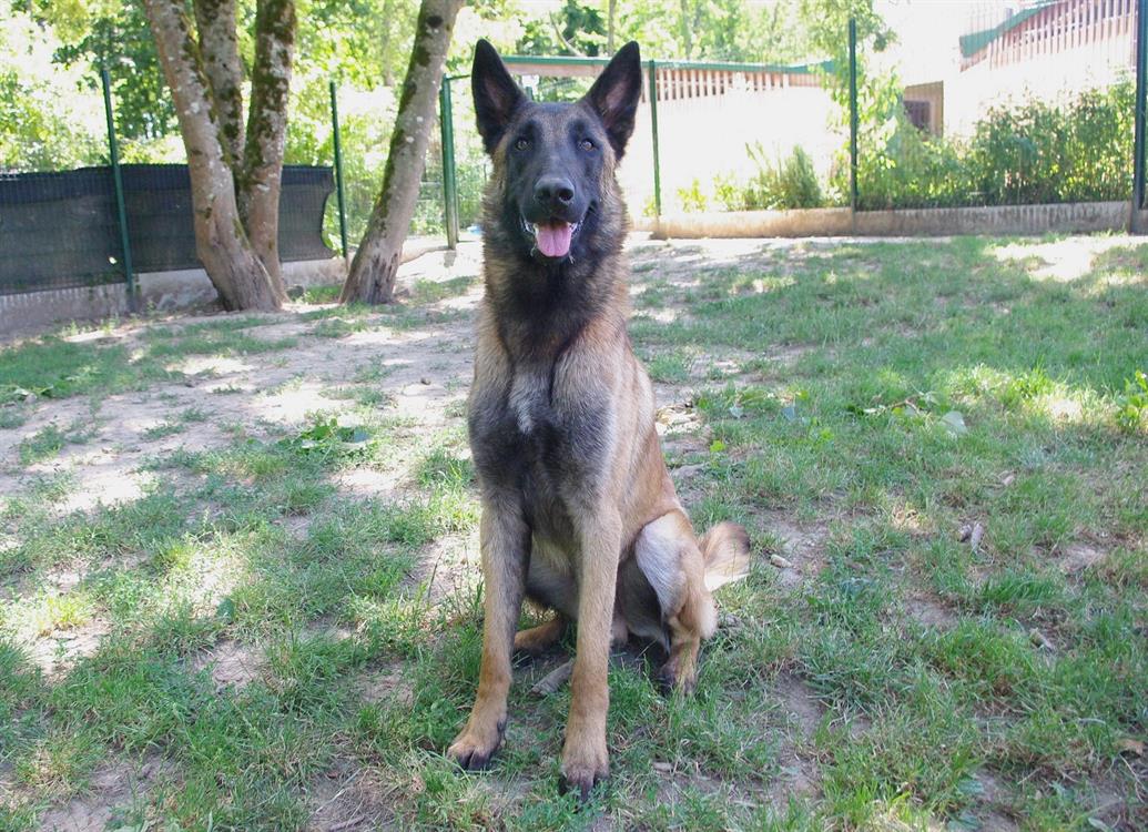 LOKI PAA23068