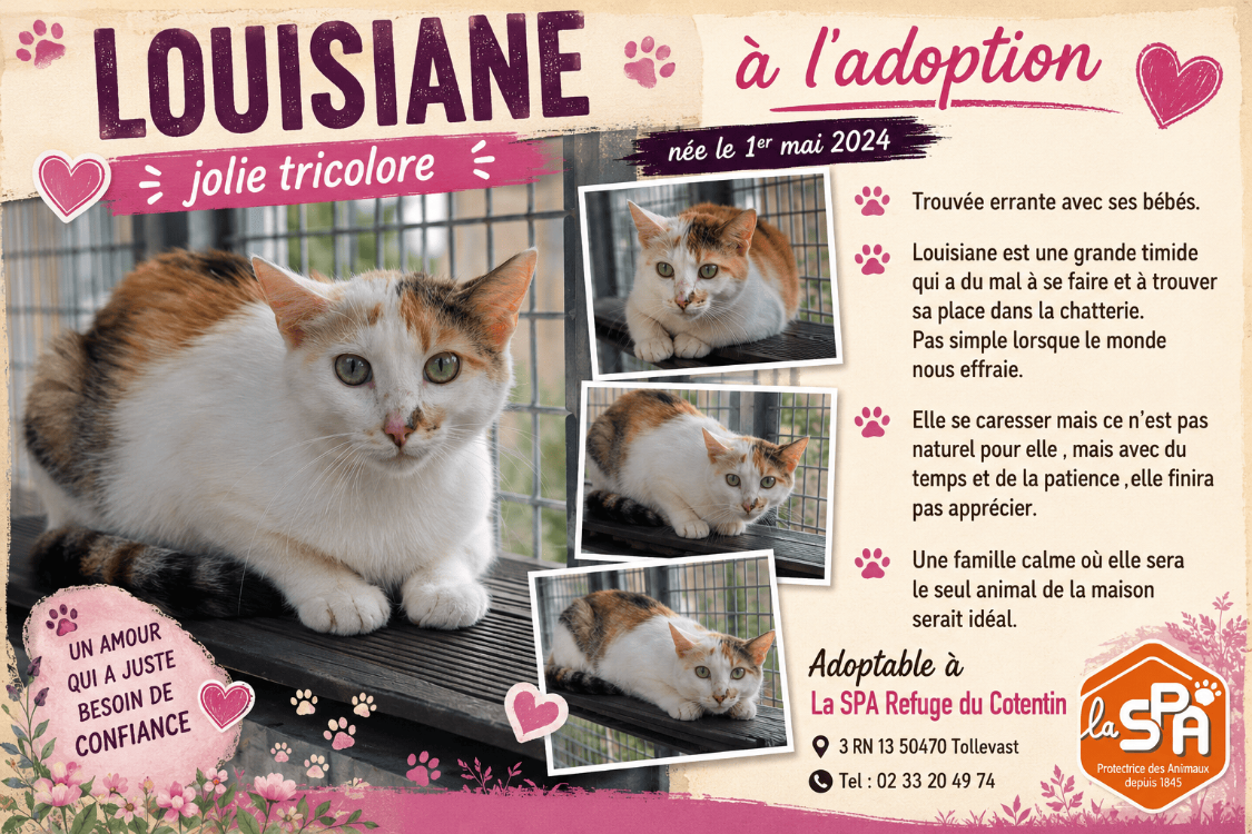 LOUISIANE
