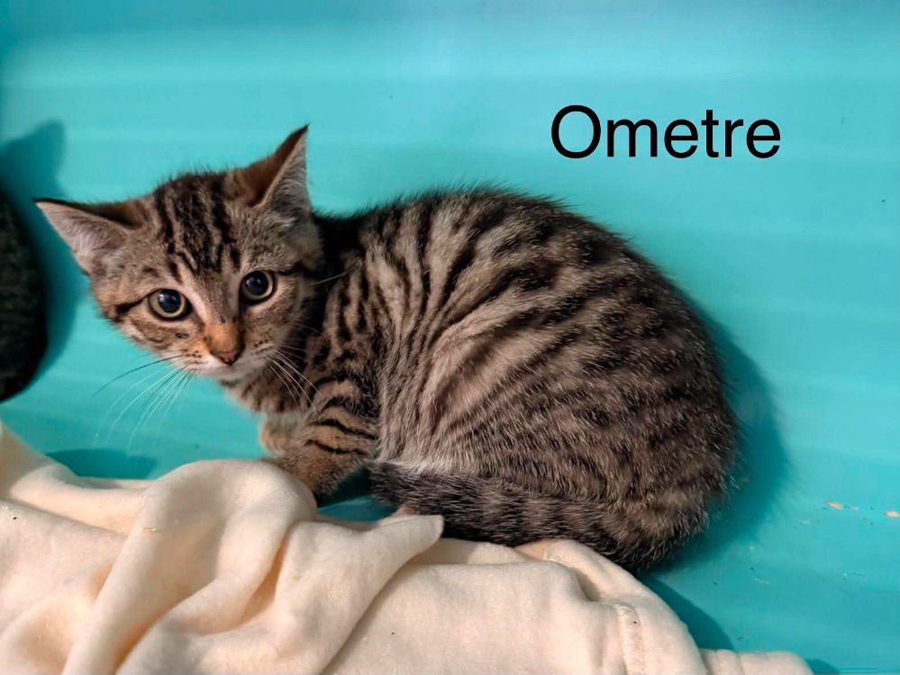 ometre