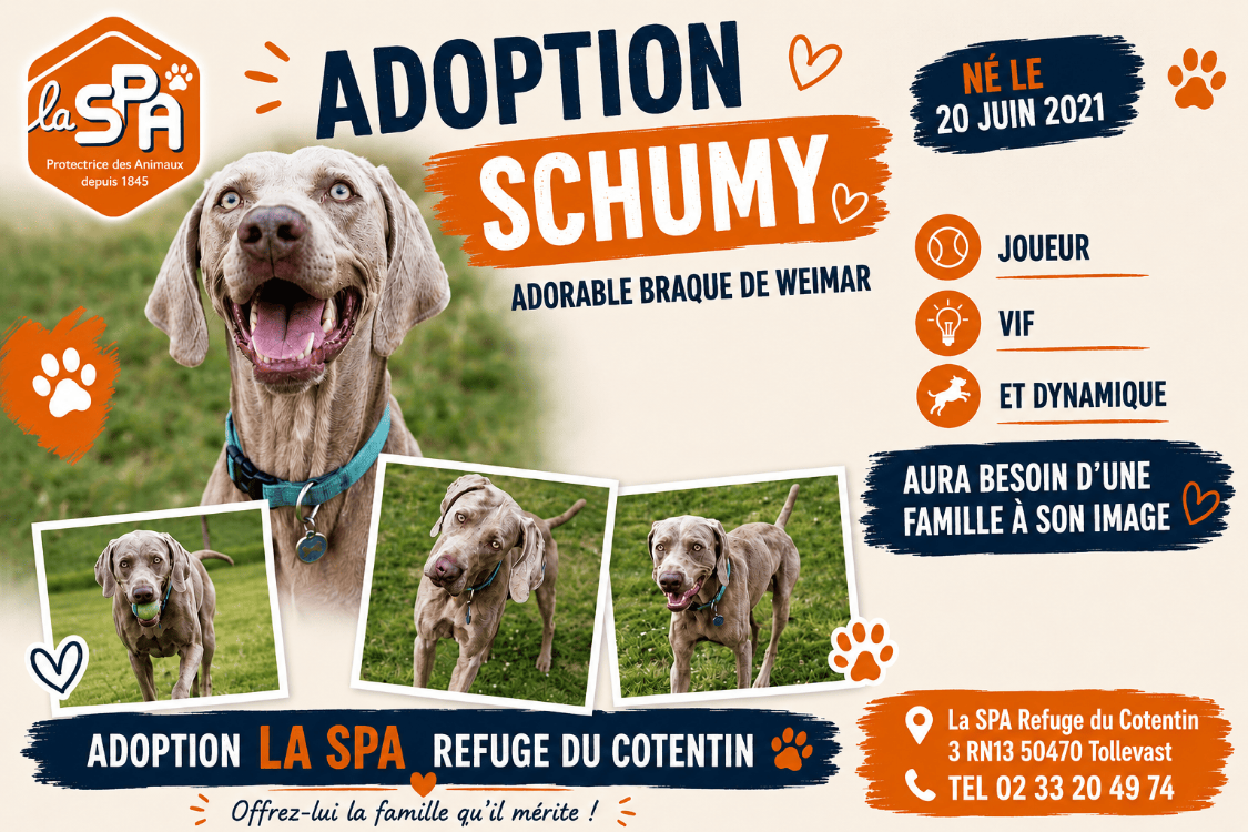 SCHUMY