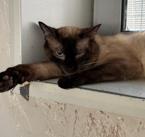 FILOU