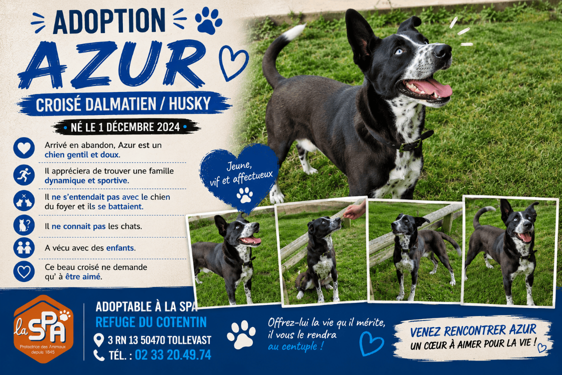 AZUR