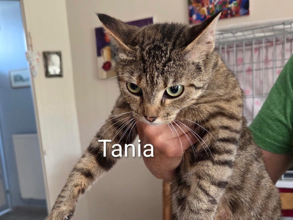 TANIA