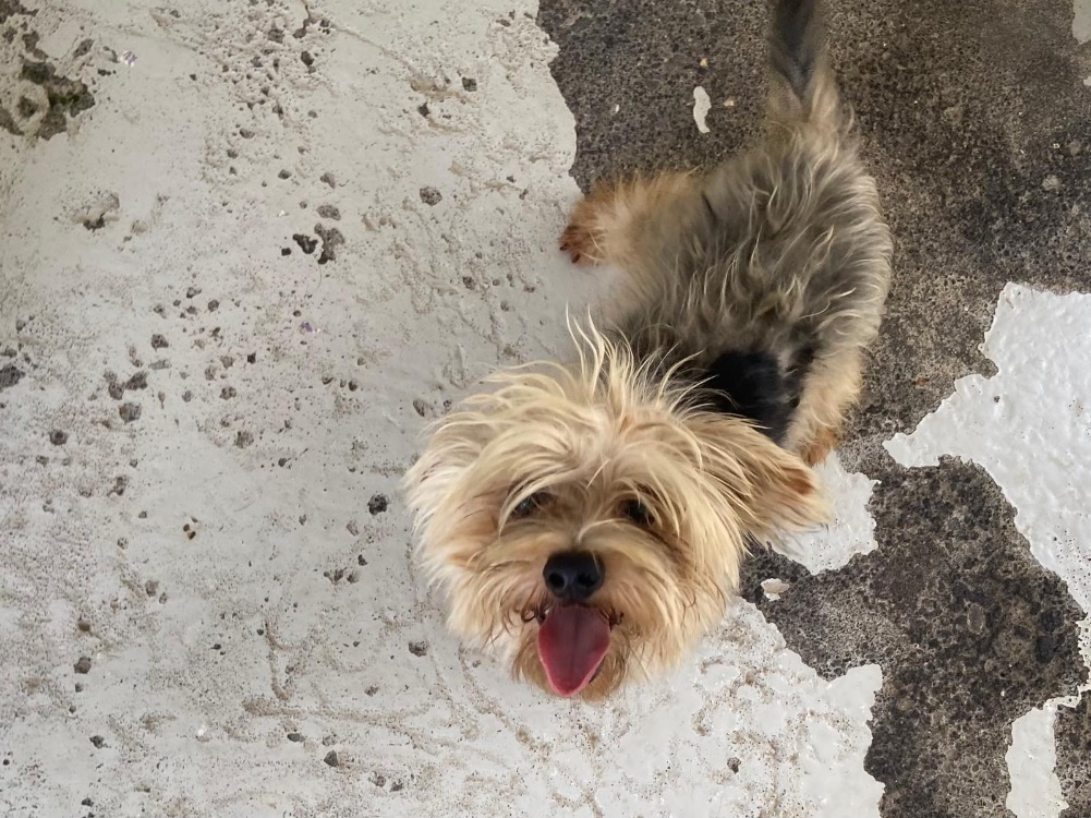 LEO (Réservé)