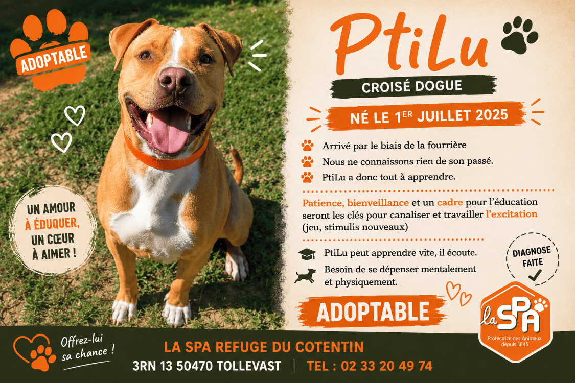 PTILU réservé