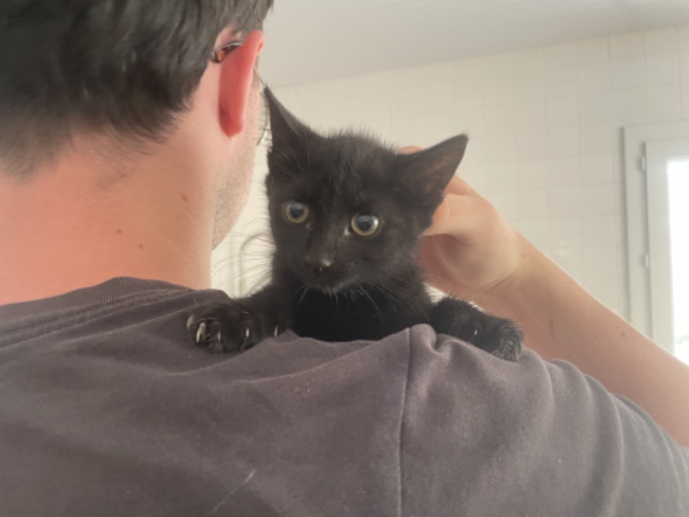 OMBRA