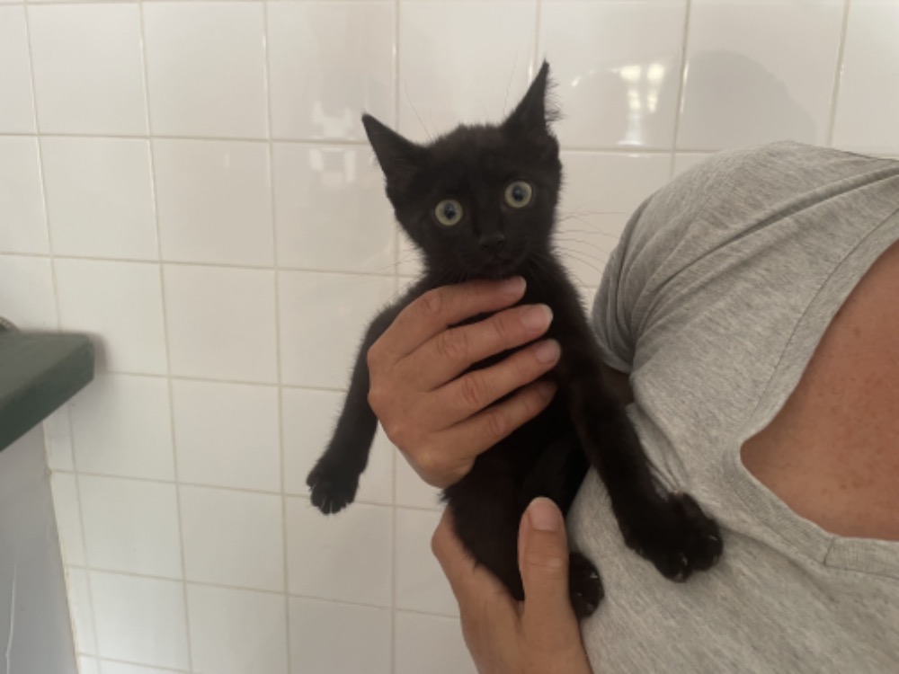 NYX