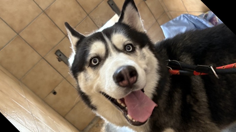 VALKO