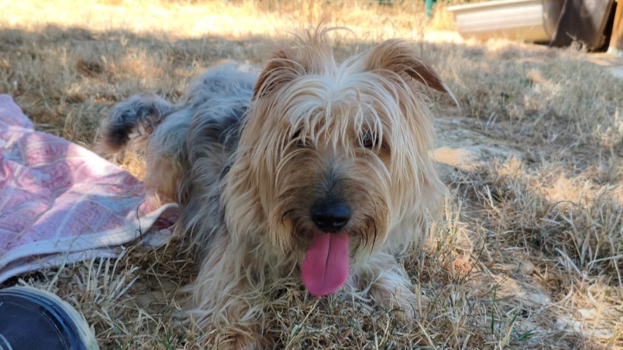 BOBBY