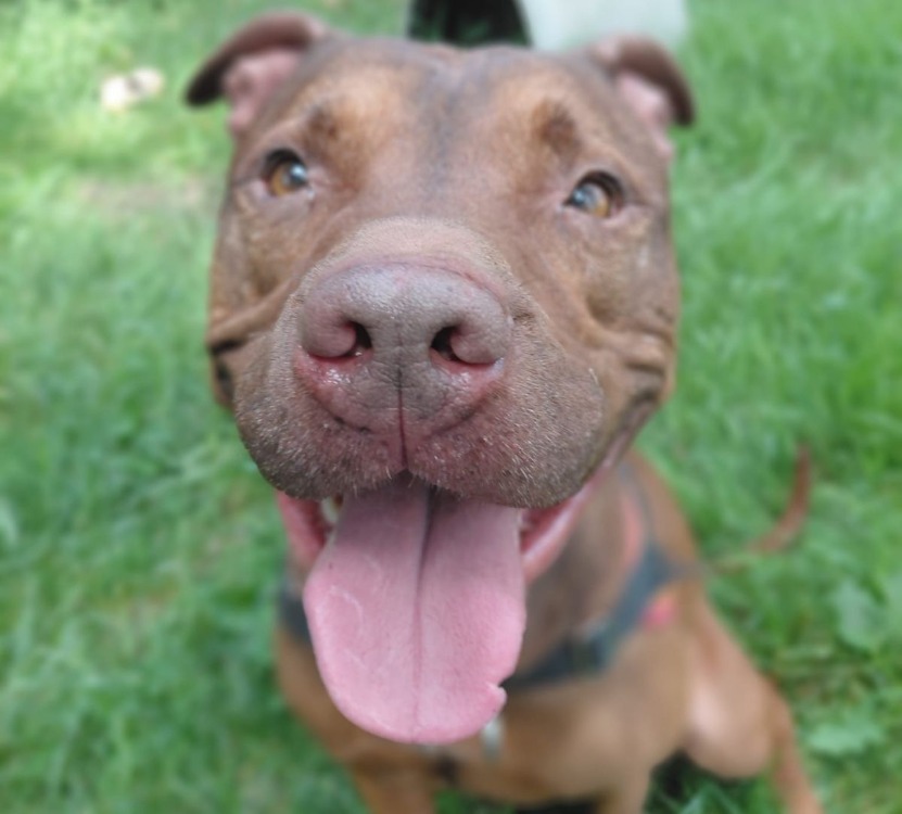 COOPER
