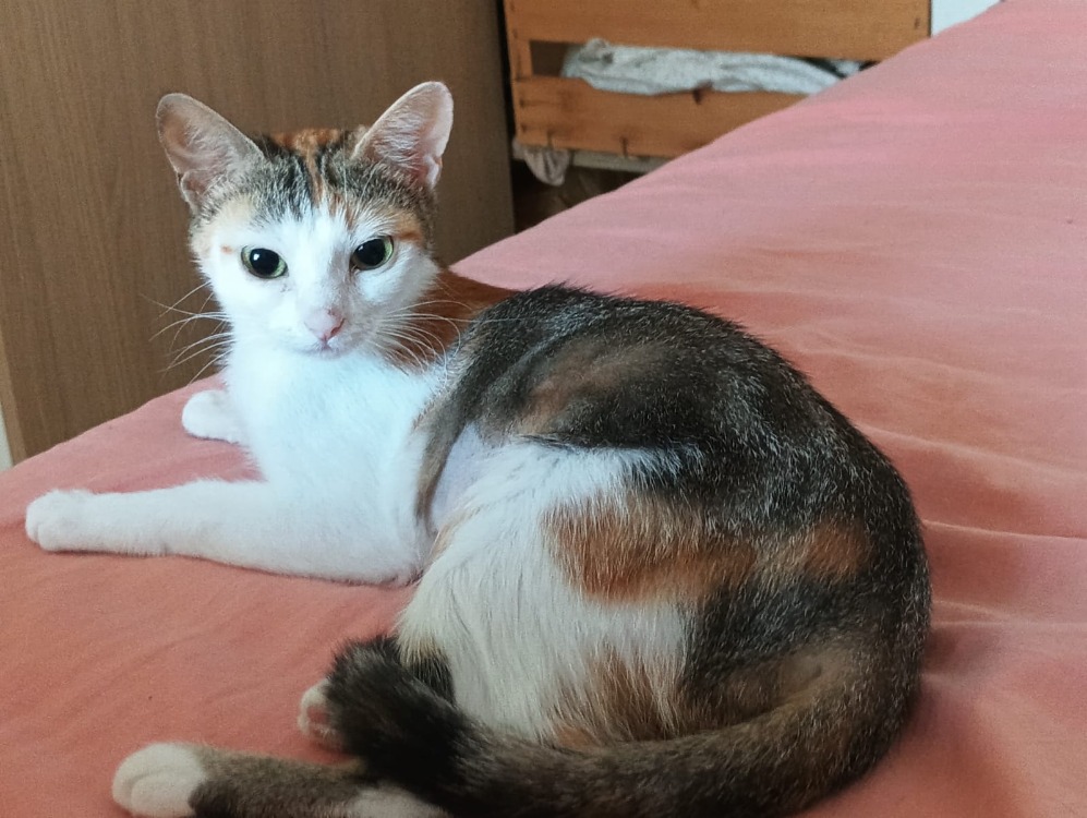 EZGI