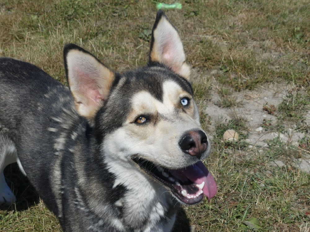 KENDJI