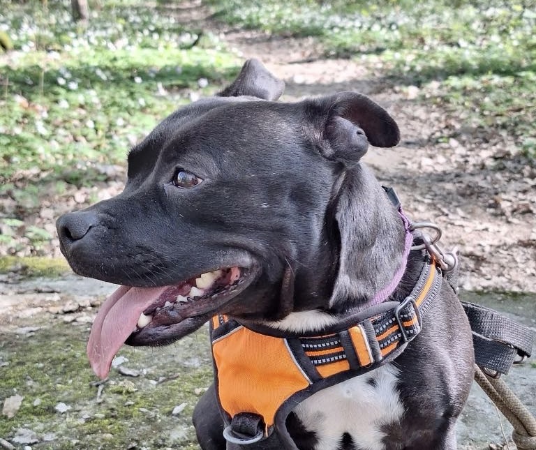 RITA (2)