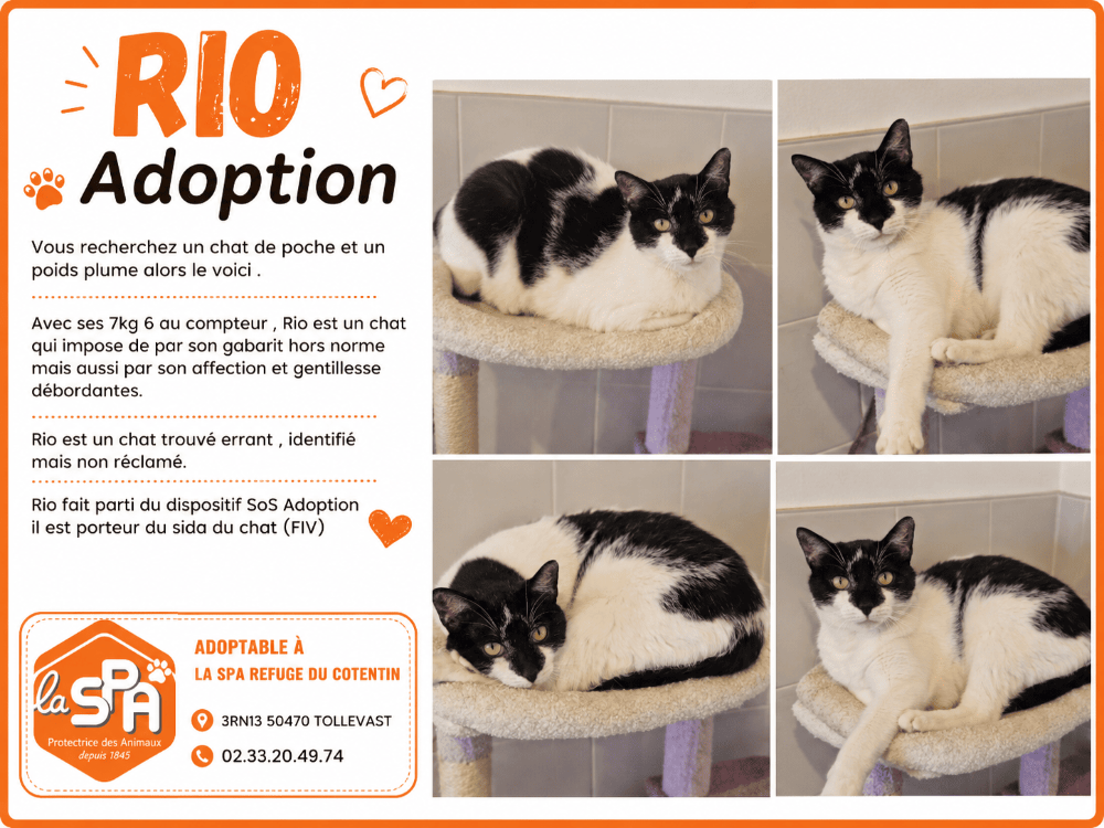 RIO
