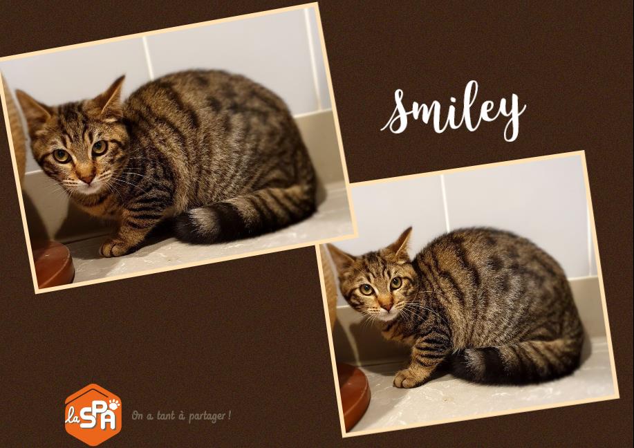 SMILEY (Réservée)