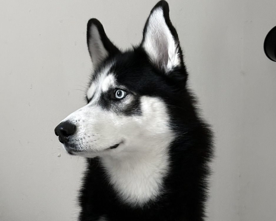 YUKI