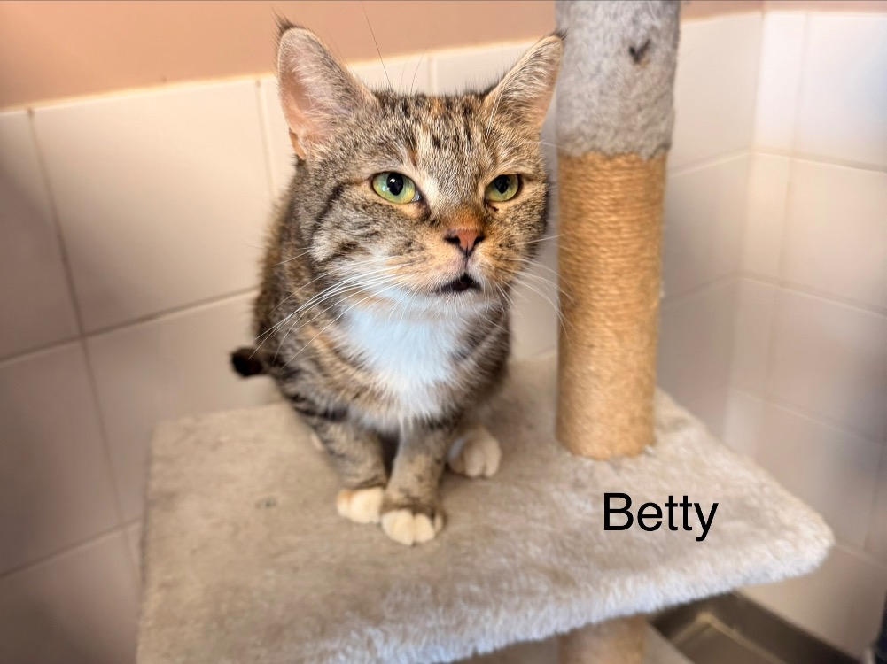 BETTY