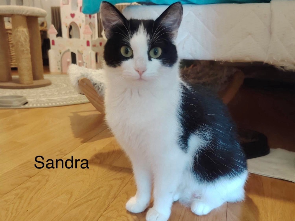 SANDRA