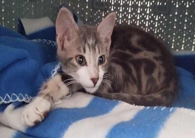 LUNA (Réservée)