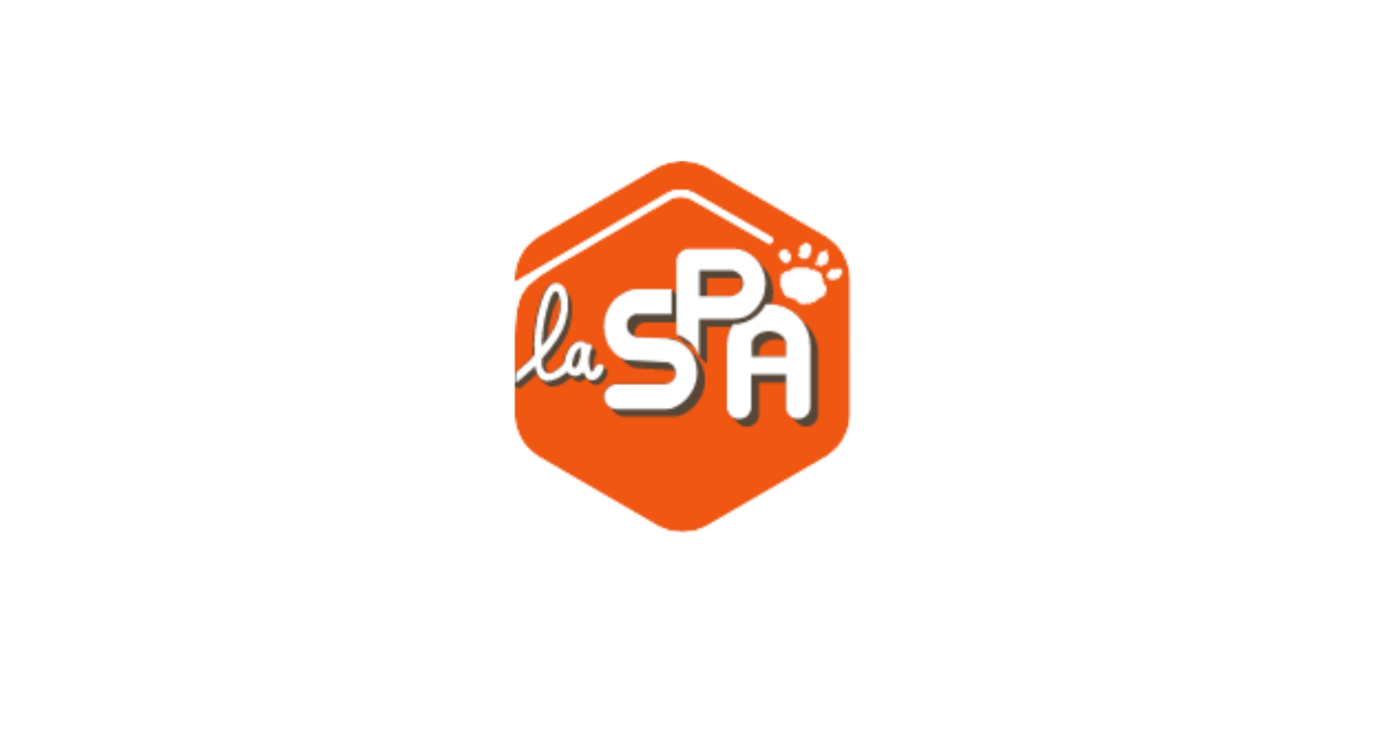 Ambre